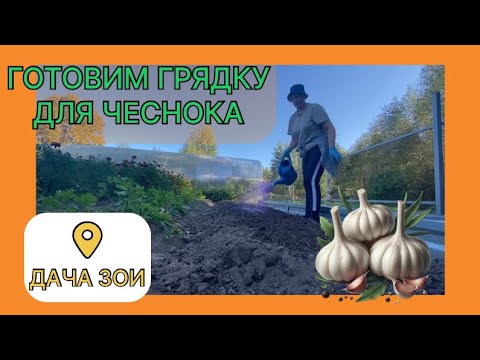 Видео: ГОТОВИМ ГРЯДКУ ДЛЯ ЧЕСНОКА 