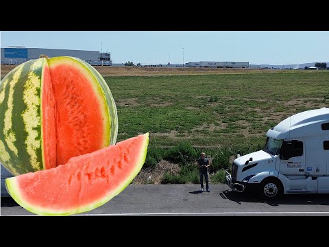 Видео: США/Дальнобой/Арбузный рейс  Аризона - Вашингтон.