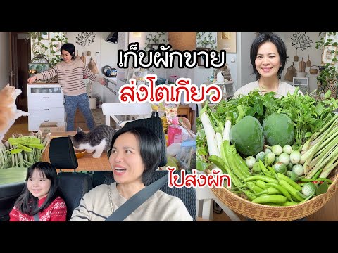 Видео: Отправляюсь в сад собирать овощи на продажу в Токио. День из жизни Маэм.