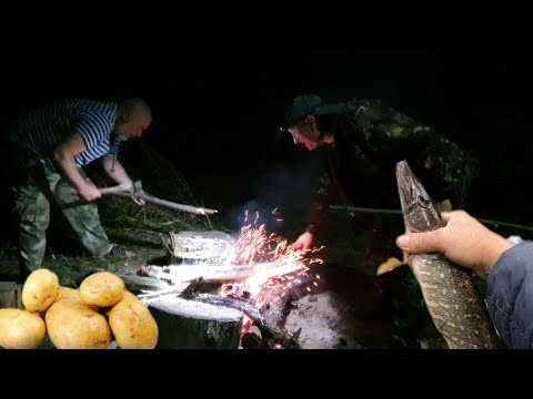 Видео: Рыбалка на реке Лужа. Есть ли там рыба? Запекаем картошку с друзьями как в детстве.