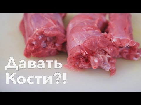 Видео: Как безопасно давать кости собаке?