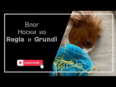 Видео: Влог №1/носки из Regia Pairfect и Grundl Hot Socks Simila/фен для собаки