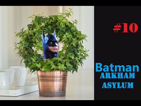 Видео: Batman: Arkham Asylum. Часть 10.