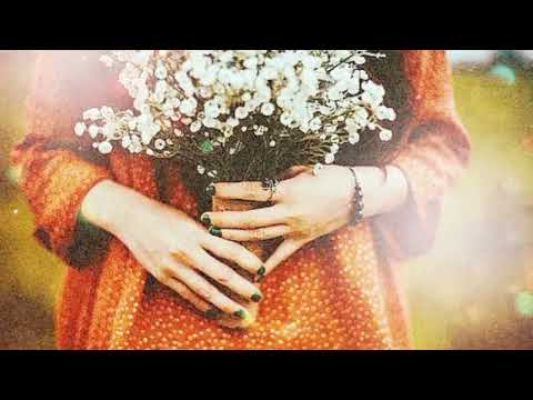 Видео: 💖🕊️🍂"Давай ронять слова" 🍂🎶🍂В исполнении - Ларисы Новосельцевой🍂✨