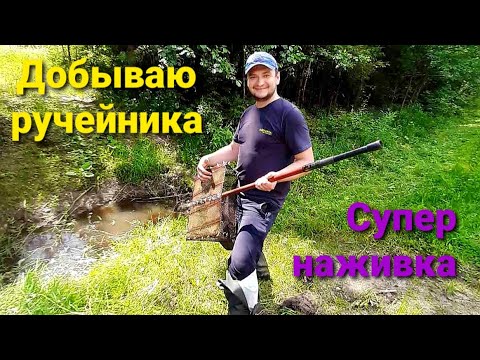 Видео: Супер наживка для рыбалки - ручейник. Два способа добычи. Поймал рака