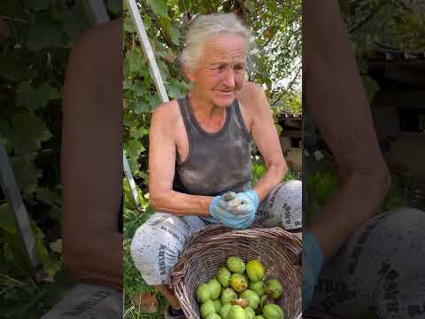 Видео: Як правильно садити волоський(грецький) горіх ? Чи повторює сорт горіх з горіха ? 🥜