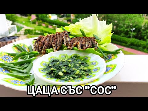 Видео: "СОС" ОТ ДЕВЕСИЛ, ЧЕСЪН И ОЦЕТ! ВКУСНА ДОБАВКА КЪМ ПЪРЖЕНА И ПЕЧЕНА РИБА! СЕМПЪЛ И ЧУДНО ВКУСЕН!!!