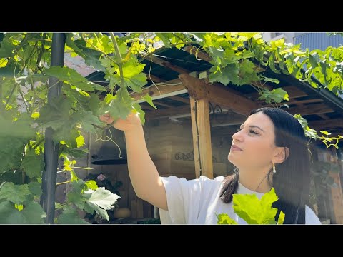 Видео: НУ ОЧЕНЬ ЛЕТНЕЕ / ЛЁГКОЕ / ВКУСНЕЙШЕЕ БЛЮДО ИЗ РЫБЫ 