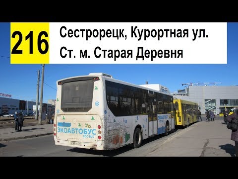 Видео: Автобус 216 "Сестрорецк, Курортная ул. - ст. м. "Старая Деревня" (старая трасса)