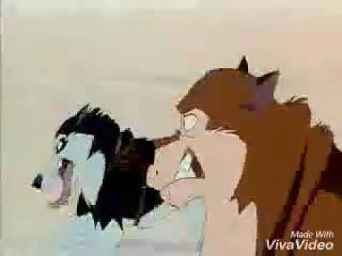 Видео: А мы не ангелы! Балто