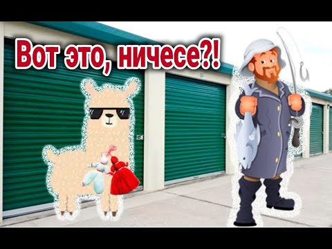 Видео: Купили интересный контейнер. Оказалось можно заработать на спорте и туризме) Розыгрыш $$$ призов