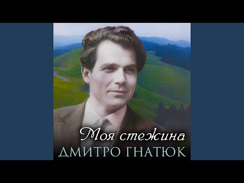 Видео: Дивлюсь я на небо