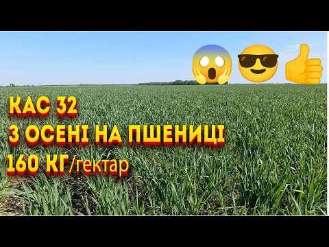 Видео: КАС 32 осіннє внесення на пшениці результат шокує 4K
