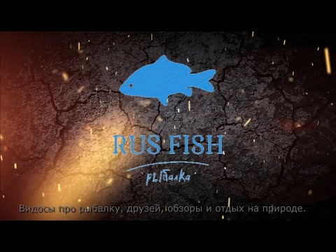 Видео: Карповая рыбалка в мае! Суточная ссесия на водоеме в п. Комсомольское.