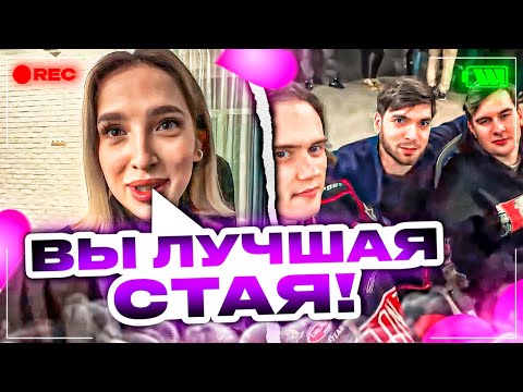 Видео: СТАЯ СОБРАЛА ВСЕХ ЛЕГЕНД ТВИЧА НА СТРИМЕ | РЕНАТКО ЖЕСТКО ЗАВОЗИТ С ДЕВОЧКАМИ