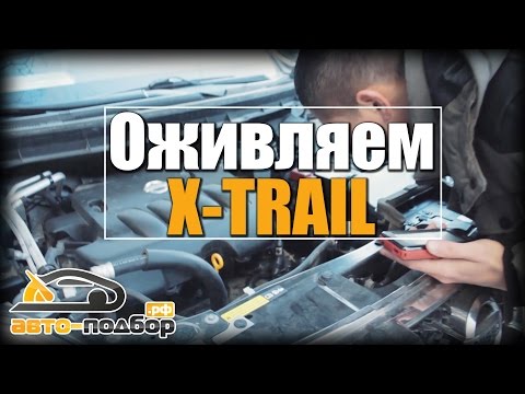 Видео: ОЖИВЛЯЕМ X-TRAIL | Гарантийный случай | ILDAR AVTO-PODBOR