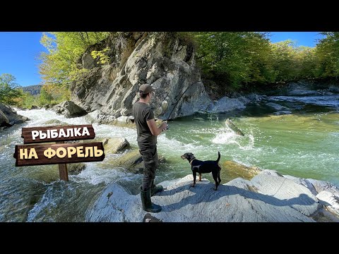 Видео: Рыбалка на форель! Ловушка запруд на форель. Лесная кухня в каменном домике.