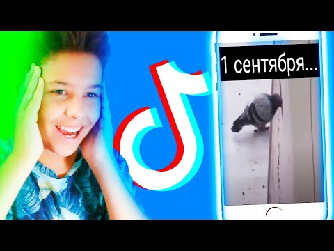 Видео: 😂 СМОТРЮ ТИК ТОК в честь 1 СЕНТЯБРЯ! 😭 Смешные видео из TIK TOK
