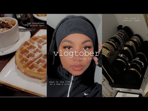 Видео: VLOG: Моя сбежавшая собака, место для бранча в Нью-Мемфисе, шопинг в костюмах, подделки дизайнерс...