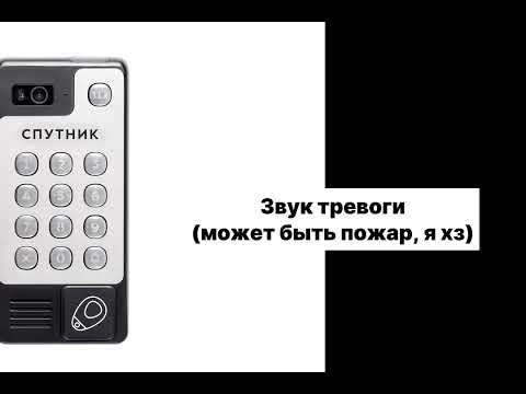 Видео: ЗВУКИ ДОМОФОНА СПУТНИК