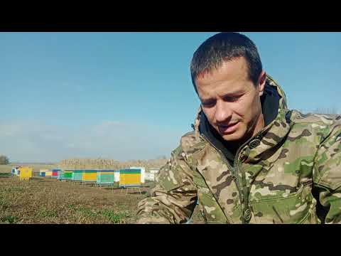 Видео: На Пасеке.Ранние матки.Цены на пчел.И не много по говорим.