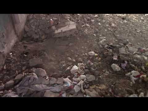 Видео: шураб 2023г.