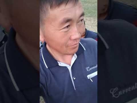 Видео: Сыймык бейшекеев бел Терек айылында