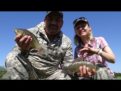 Видео: Семейная рыбалка | Отличный выходной на реке | Плохой клёв, но отличный улов