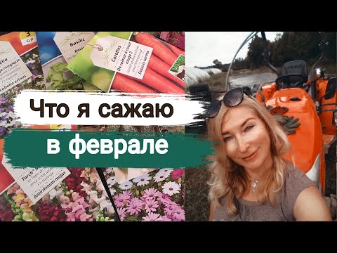 Видео: Что растёт в моем саду в феврале. #янавофранции, #хозяевамира