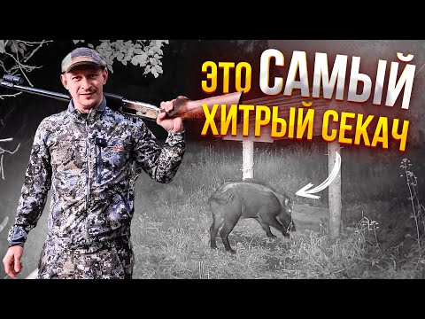 Видео: 💥 Это была САМАЯ ДОЛГАЯ ОХОТА НА КАБАНА \\ Охотхозяйство УЗМЕНЬ