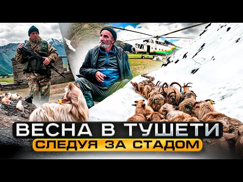 Видео: Тушети: труднодоступный регион Грузии | Какой он в не сезон?