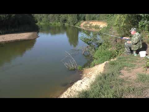 Видео: рыбалка на реке Киржач близ Городищ