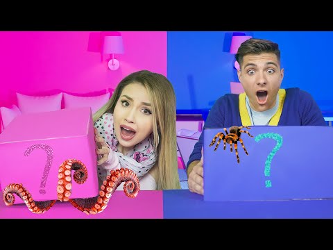 Видео: Синя СРЕЩУ Розова Мистериозна Кутия