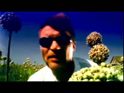 Видео: Воплі Відоплясова - Були на селі