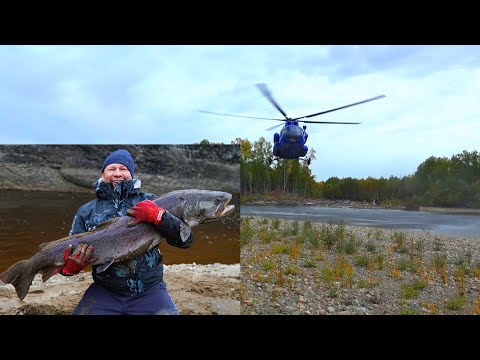 Видео: Сборная команда 2024 из интернета в ТАЙГЕ на РЫБАЛКЕ/ 4 серия (заключительная)