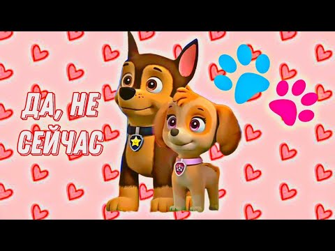 Видео: Гончик и Скай-Да, не сейчас ( заказ @Love-t1d  )