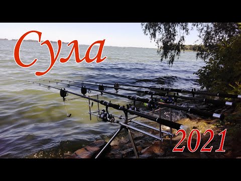Видео: Рыбалка на реке Сула 2021