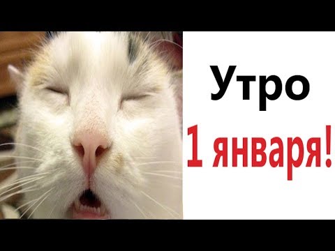 Видео: Лютые приколы. УТРО 1 ЯНВАРЯ!!! САМОЕ смешное видео! Засмеялся проиграл! - Domi Show!