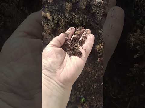 Видео: Осенние итоги и планы на будущий год.