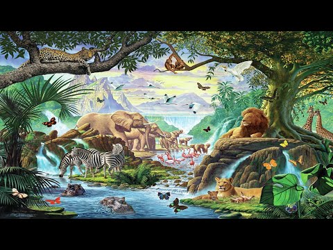 Видео: Ба Цзы. Вред, Ранение, Слияние