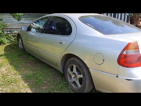 Видео: Их всё меньше..