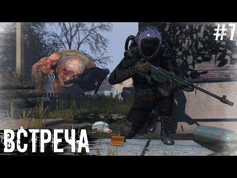 Видео: #7 Встреча | DayZ | The Twilight Zone |  #survival  #dayz