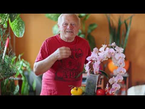 Видео: Советы садоводам в последний день лета. часть 4. О ферментации урожая. О  стимуляции фотосинтеза.