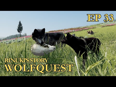 Видео: WolfQuest История Ринуки - Эпизод 33