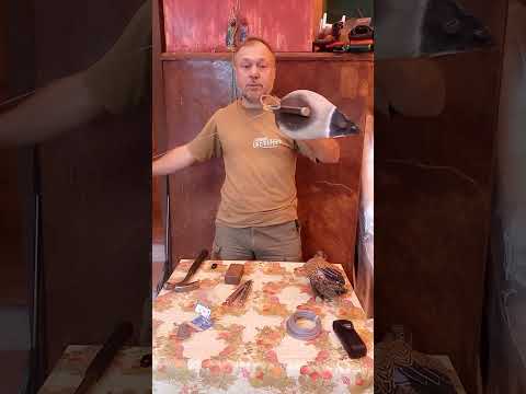 Видео: Как снарядить утку, чтобы посадить ее на воду?