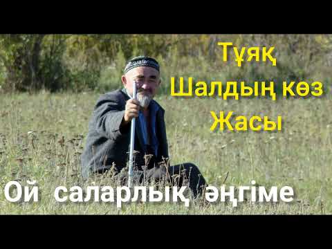 Видео: Шалдың көз жасы. Тұяк#аудиокітап әсерлі әңгімелер жинағы
