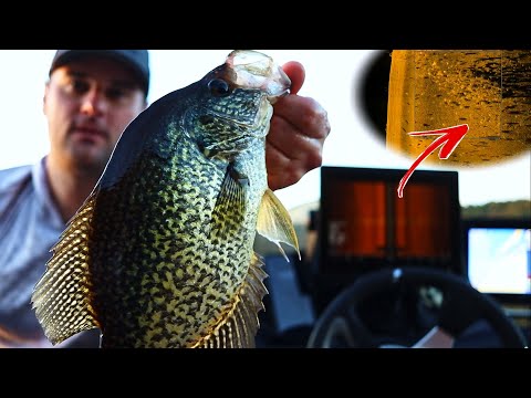 Видео: Как использовать боковую визуализацию для поиска краппи осенью