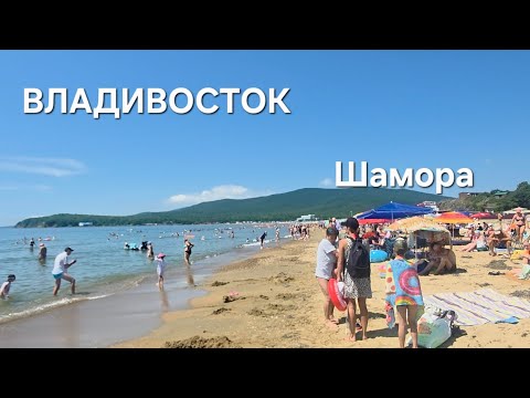 Видео: Владивосток 🇷🇺 🌊 ⚓️ Шамора 2 августа