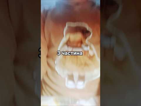 Видео: 7 жовтня 2025 р.