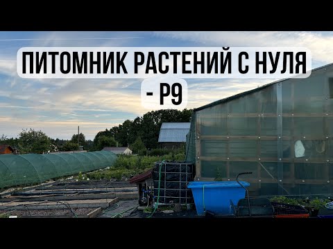 Видео: 10. Питомник растений с нуля - р9 // горшок 0,5 литра